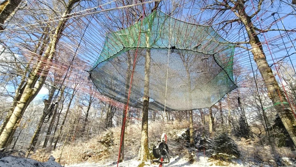 Accrobranche du Fort de Tamié — Percorso sospeso tra gli alberi