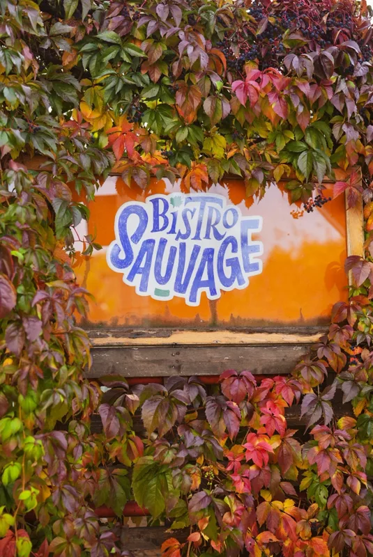 Bistro Sauvage — Innendekoration